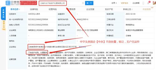 計算機軟件技術服務 驅動數字化轉型的核心動力